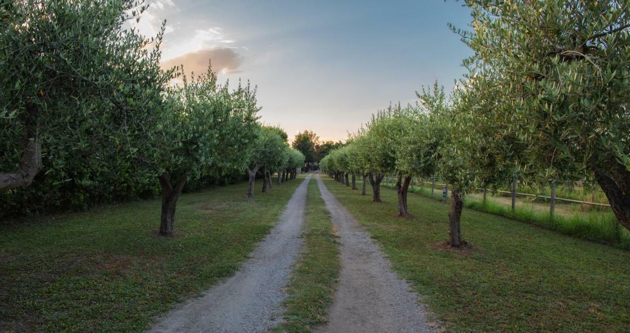 Fuori Le Mura Paestum Buitenkant foto